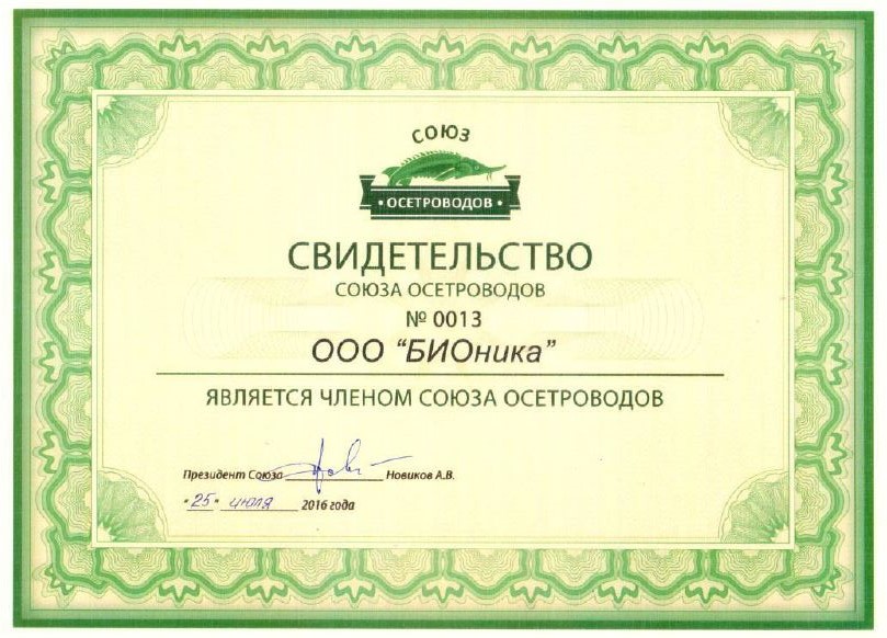 svidetelstvo